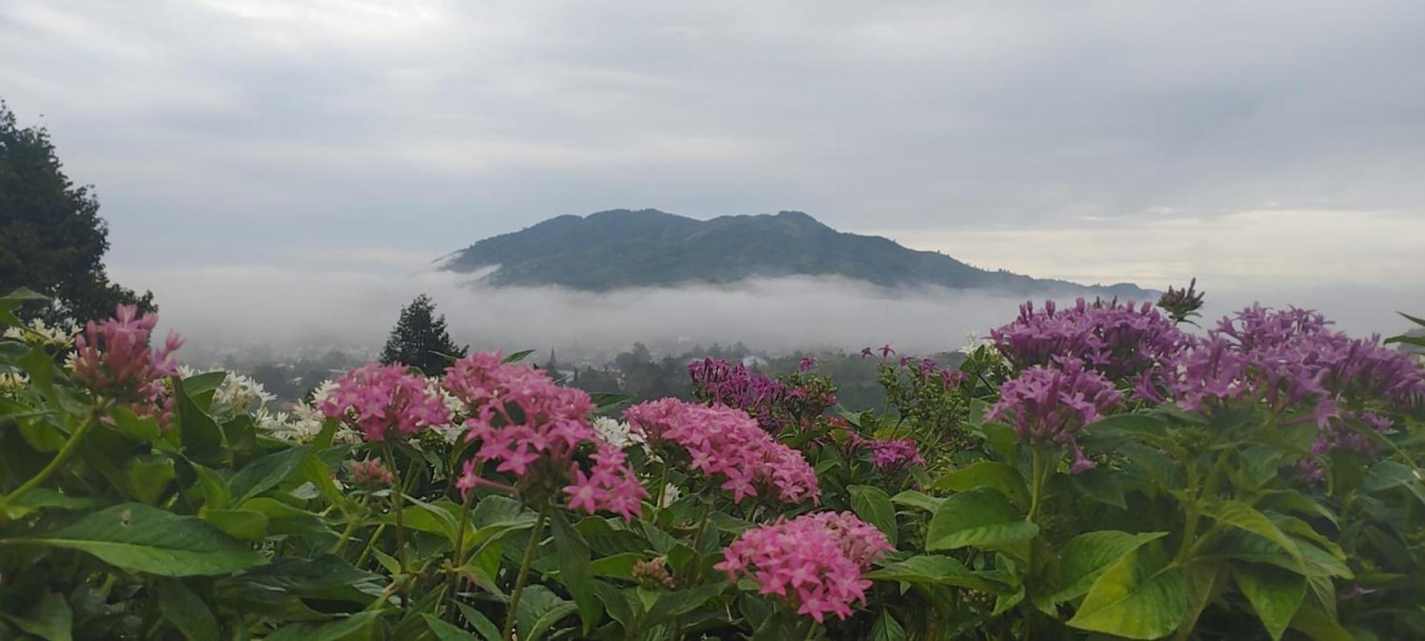 Homestay Chan Que Bao Loc Εξωτερικό φωτογραφία