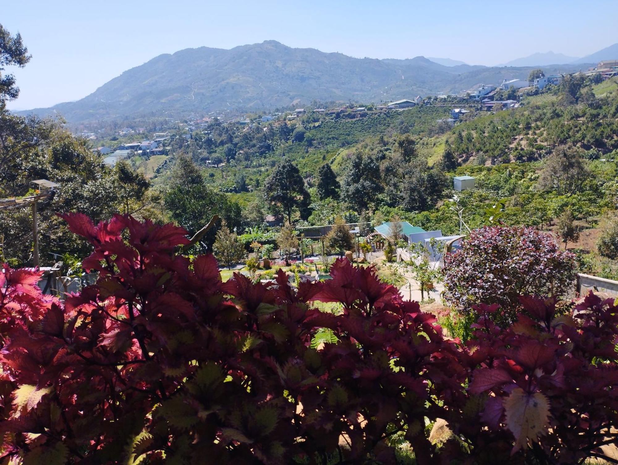 Homestay Chan Que Bao Loc Εξωτερικό φωτογραφία